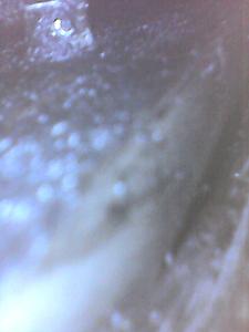 pics taken with borascope of rear seal leak-inside-bottom-bell-housing-2.jpg
