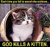 Creaking Seat-fchat-search-kitten.jpg