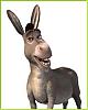 RX-8 Is Not A High-Performance Car?-pics%255cdonkey%2520shrek.jpg
