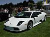 White or Black?-mucielago-1.jpg