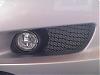 My New Grill and Guard-dsc00003a.jpg