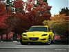 Front license plates-gt4-plate.jpg
