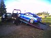 Hit A Deer on 5-Week Anniversary-picture480_14nov05.jpg