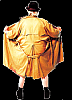 is flashing my engine a good thing?-flasher.gif