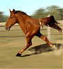 do u consider ur rx8 slow?-ba119742.gif