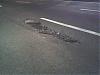 Pothole kills 5 wheels in 20 minutes.-photo_073106_005.jpg