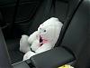 Violated --- so.... violated-new-car-021-resize-2.jpg