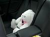 seatbelt problem-new-car-021-resize-2.jpg