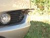 RB Condenser Screen vs. Raccoon-ed457646.jpg