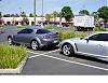 Pics of gray or black tint.-tint.jpg