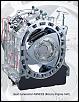 Renesis 2-pic_renesis.jpg