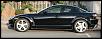 Calling All Brilliant Blacks-rx8.jpg