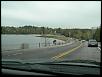 2007 New England Spring Run, Adirondacks-moose.jpg