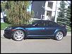 Loving My New Baby . . .-plate-003.jpg