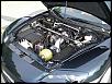 FRESH Pictures For a FRESH Wash-5.5.jpg