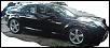 Calling All Brilliant Blacks-dsc01328.jpg
