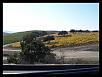 Day trip up the coast-landscape-2.jpg