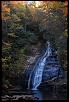 Go out and take some pictures!  Fall is beautiful!-dsc_4502.jpg