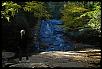 Go out and take some pictures!  Fall is beautiful!-mrsoms.jpg