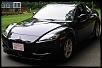 Calling All Brilliant Blacks-05rx8.jpg