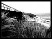 Day trip up the coast-5.jpg