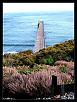 Day trip up the coast-2.jpg