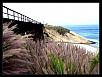 Day trip up the coast-4.jpg