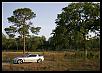 Shot the car - it's been awhile.-fieldbyworkrx8.jpg
