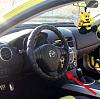 Double Yellow-steer1.jpg