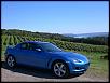 Mini photo shoot-cimg1665a.jpg