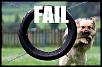 Our new local scene Video straight out of central NJ look for the rx8!-fail.jpg