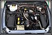Out and about-adampix3.jpg