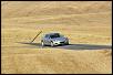 Calling all Sunlight Silvers-rx84.jpg