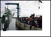 Osaka Automesse 2009-shark2.jpg