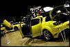 Calling All Colors-n562170133_3702050_2195%5B1%5D.jpg