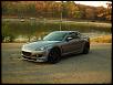 Calling all Titanium Grays-dscn1427.jpg
