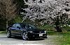 Spring has come.-with_chellyblossum-1.jpg
