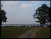 Kent Island Meet, 7/25/2009-everyone-their-8s.jpg