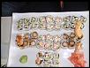 Monthly Sushi Meets - DE - 9-20-09-sushi.jpg