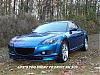 Calling all Winning Blues-rx-8.jpg