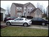 Calling all Sunlight Silvers-001.jpg