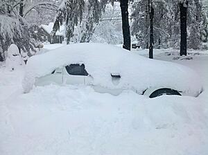 This Winter Is Killin' Me-2010-02-26-15.21.44.jpg