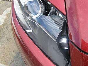 Stupid deer...-img_0145.jpg
