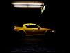 Calling all Lightning Yellows-101.jpg