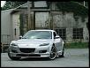 Calling all Sunlight Silvers-storm-015.jpg