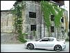 Calling all Sunlight Silvers-storm-037.jpg