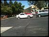 Found:Brothers from the same mother in my area-img_4614.jpg