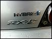 Calling all Sunlight Silvers-hybridpic.jpg
