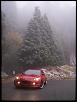 Rx8 picture tag game-100_6428.jpg