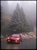 Rx8 picture tag game-100_6428.jpg
